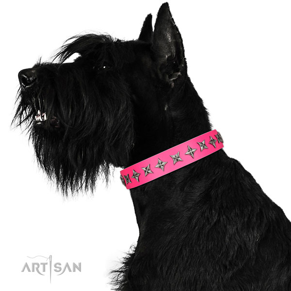 High quality leather dog collar with stylish design adornments