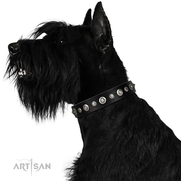 Best quality full grain genuine leather dog collar with remarkable decorations