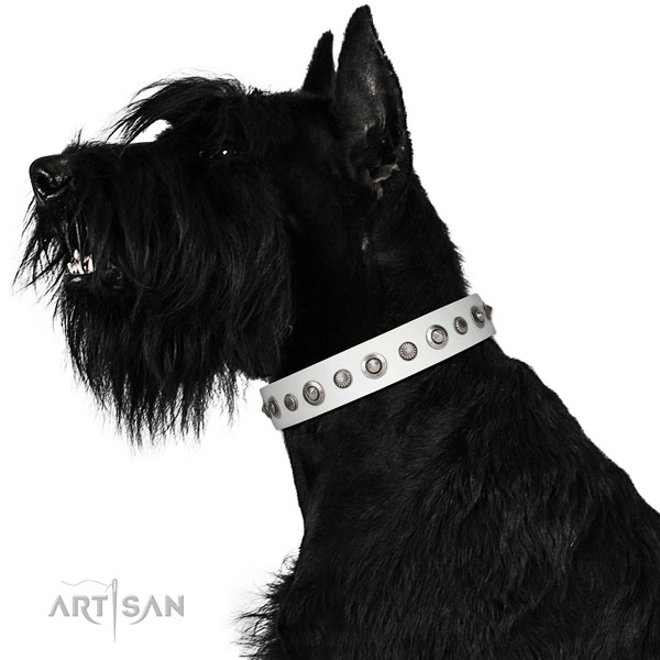 Genuine leather collar with rust resistant traditional buckle for your impressive dog