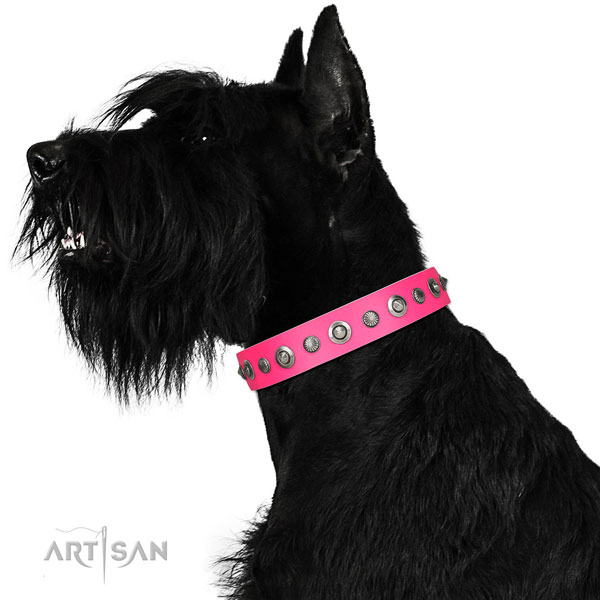 Full grain natural leather collar with reliable D-ring for your stylish four-legged friend