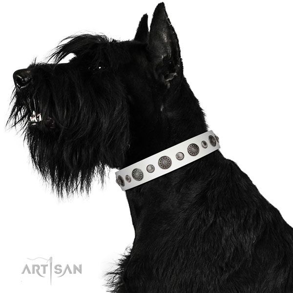 Comfortable Full grain natural leather dog collar with rust resistant hardware