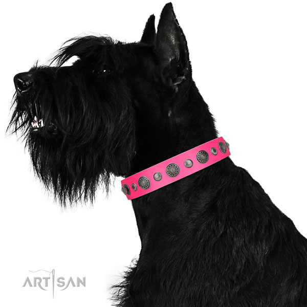 Stunning genuine leather dog collar with rust-proof D-ring