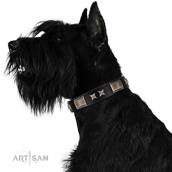 Daily walking gentle to touch full grain natural leather dog collar with decorations