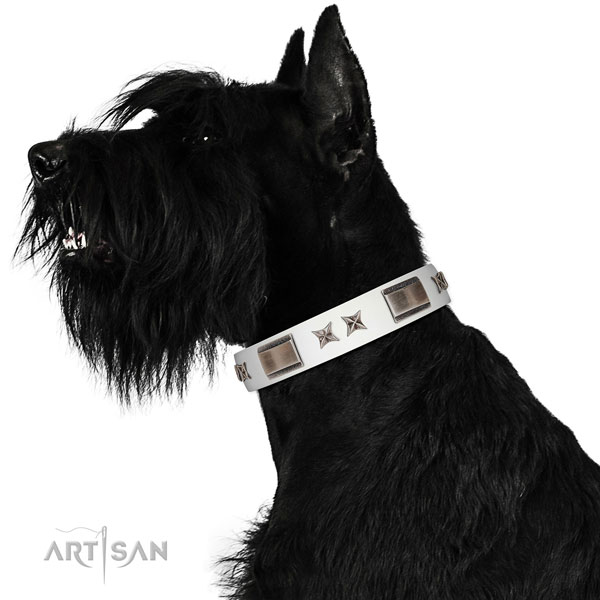 Exceptional collar of full grain leather for your beautiful four-legged friend