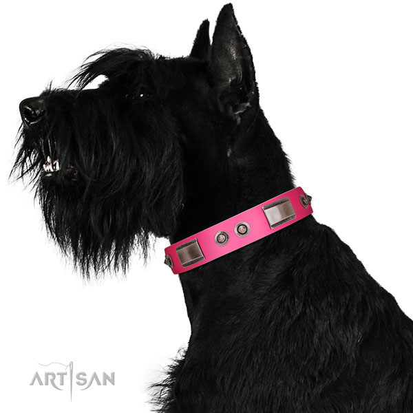 Stunning full grain leather dog collar with adornments