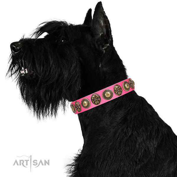 Exceptional full grain natural leather collar for your handsome doggie