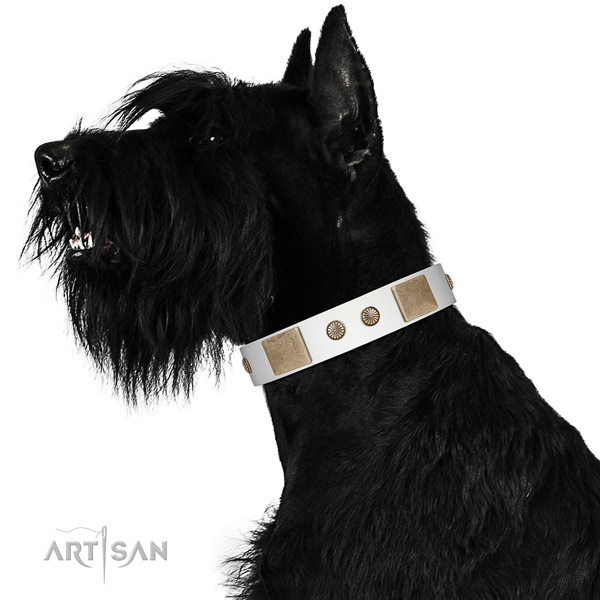 Reliable buckle on full grain genuine leather dog collar for everyday walking