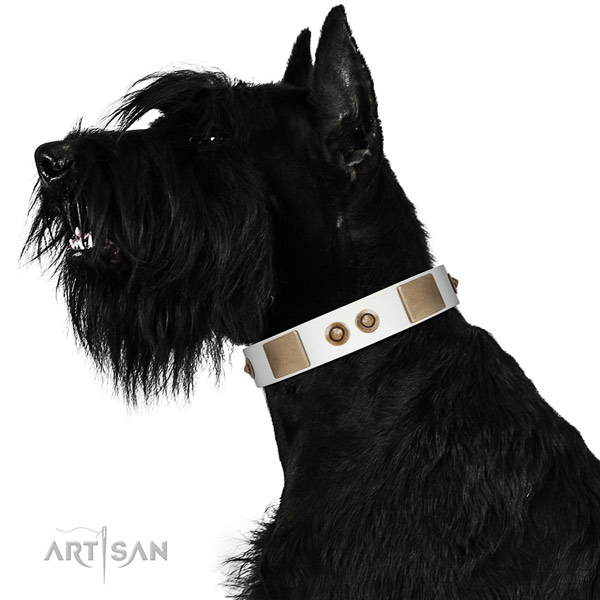 Everyday walking dog collar of natural leather with extraordinary adornments