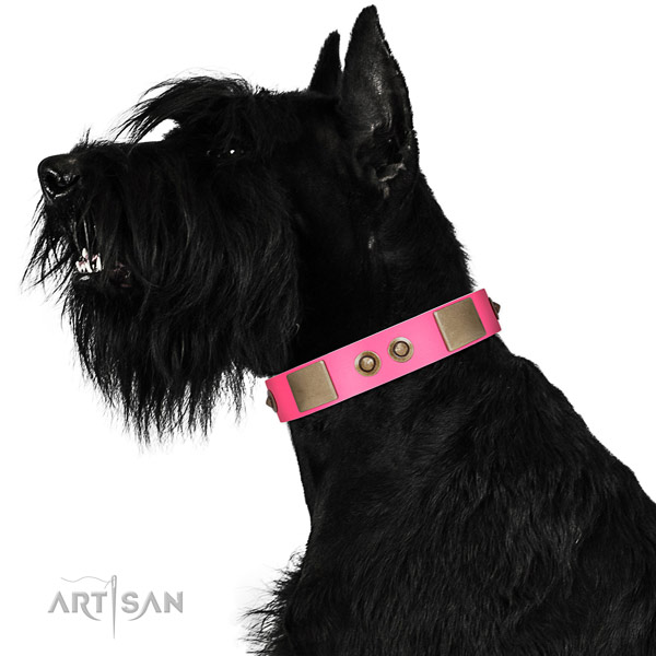 Fancy walking dog collar of natural leather with exquisite studs
