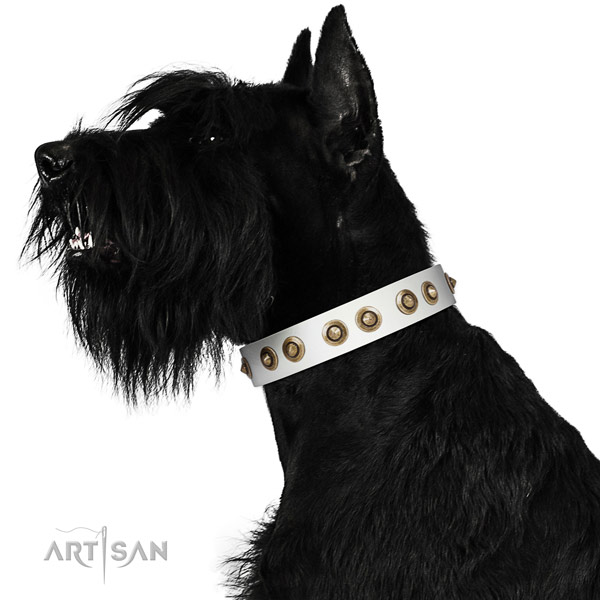 Easy wearing dog collar of genuine leather with impressive embellishments