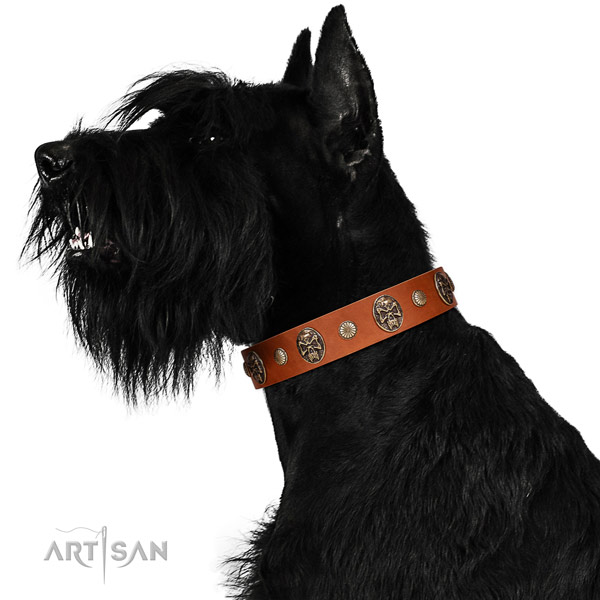 Full grain genuine leather dog collar with significant decorations