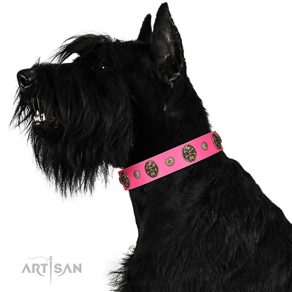 Rust-proof buckle on full grain natural leather dog collar for daily walking