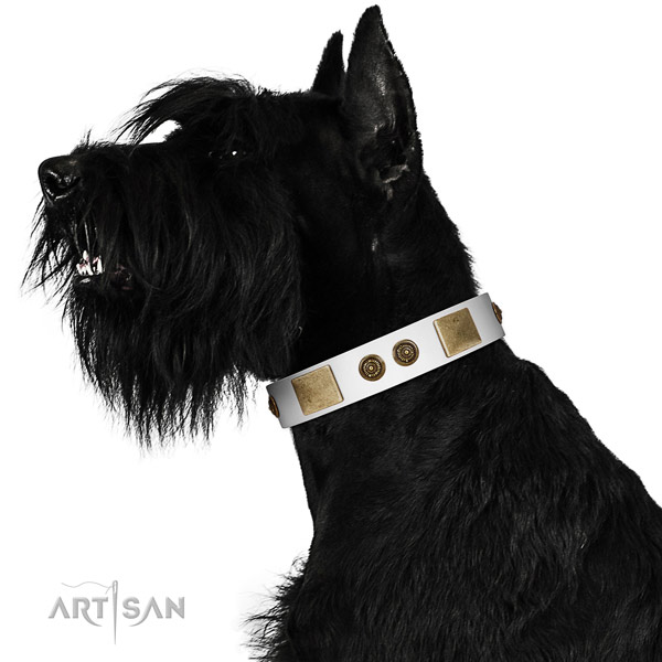 Fashionable dog collar handcrafted for your attractive pet
