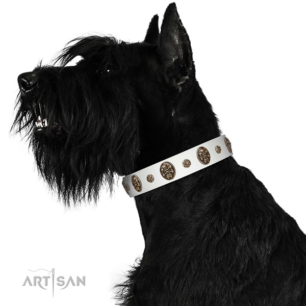 Easy wearing dog collar of natural leather with awesome studs