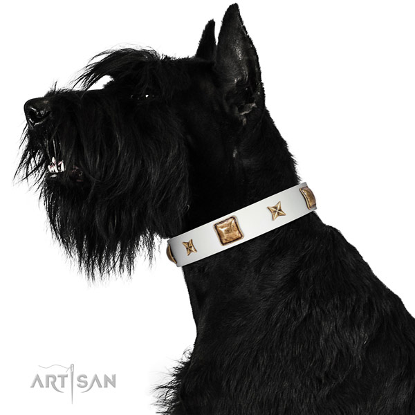 Full grain genuine leather collar with studs for your handsome canine