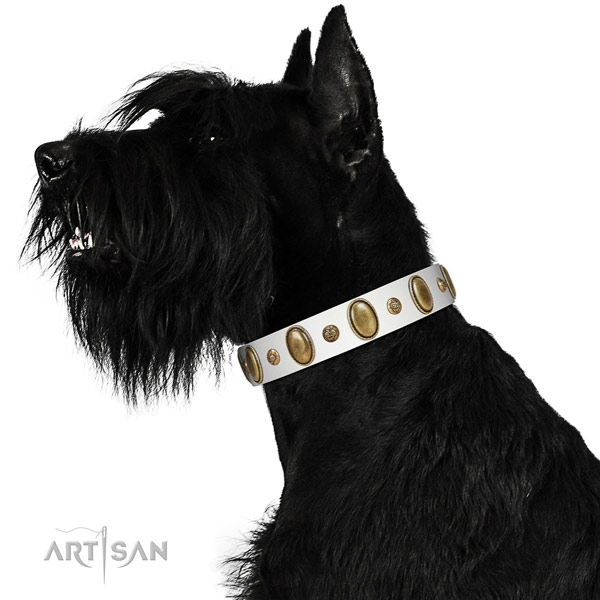 Everyday use top notch leather dog collar with adornments