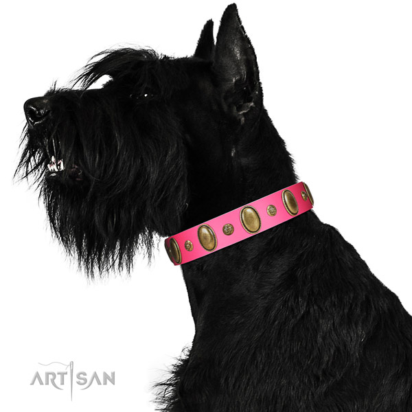 Everyday use reliable full grain natural leather dog collar with decorations