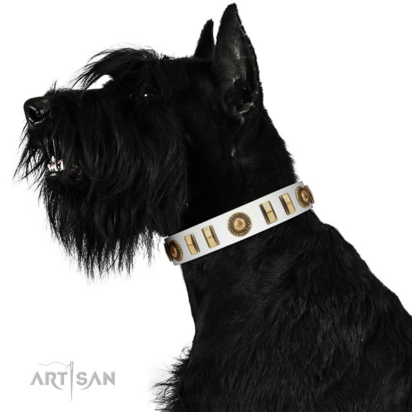 Adorned genuine leather dog collar with durable traditional buckle