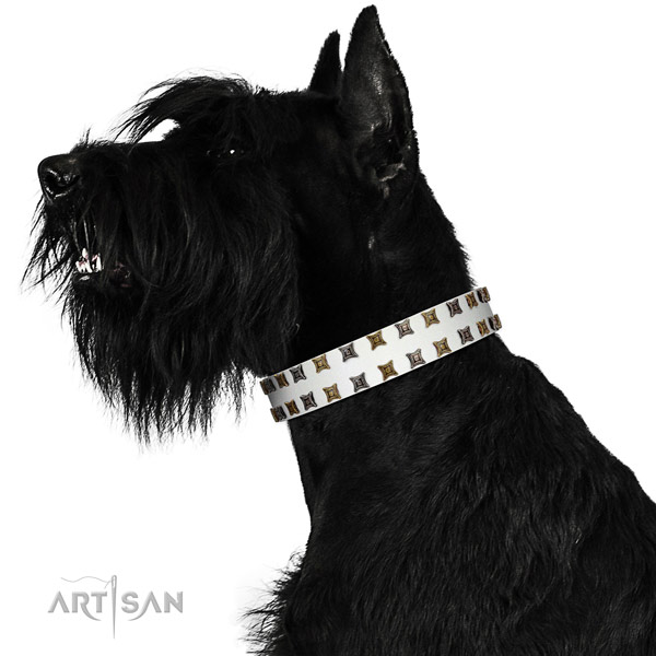 Soft to touch natural leather dog collar with embellishments for your four-legged friend