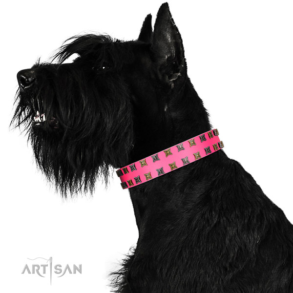Top rate full grain natural leather dog collar with embellishments for your dog