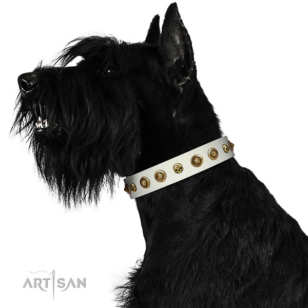 Reliable natural leather dog collar with embellishments for your dog