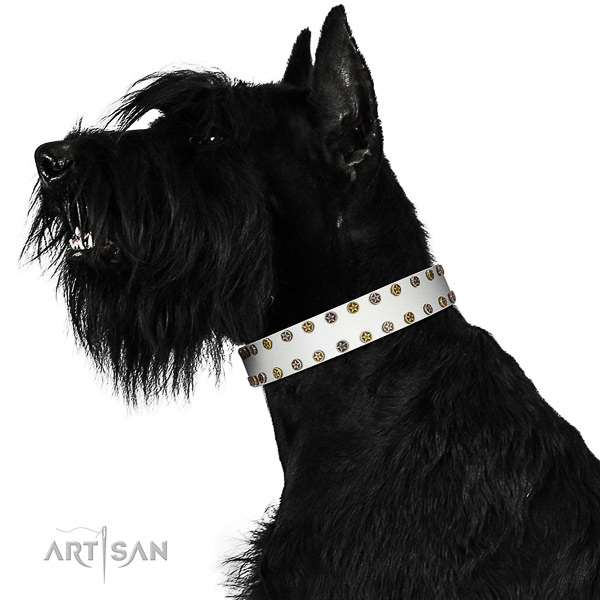 Unusual natural leather dog collar with corrosion proof adornments