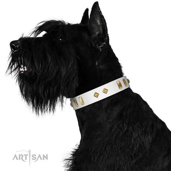 Daily walking quality genuine leather dog collar with adornments
