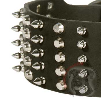  Leather Wide Dog Collar for Riesenschnauzer
