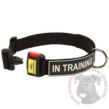 Nylon Dog Collar for Riesenschnauzer Police Training