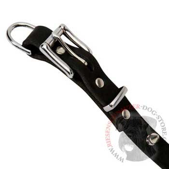 Riesenschnauzer Dog Leather Collar Rust-proof Spikes