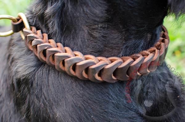 Brass Quick Release Buckle on Leather Braided Choke Collar for Riesenschnauzer