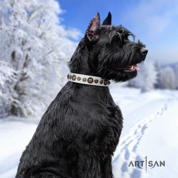 Riesenschnauzer walking genuine leather collar for your handsome canine
