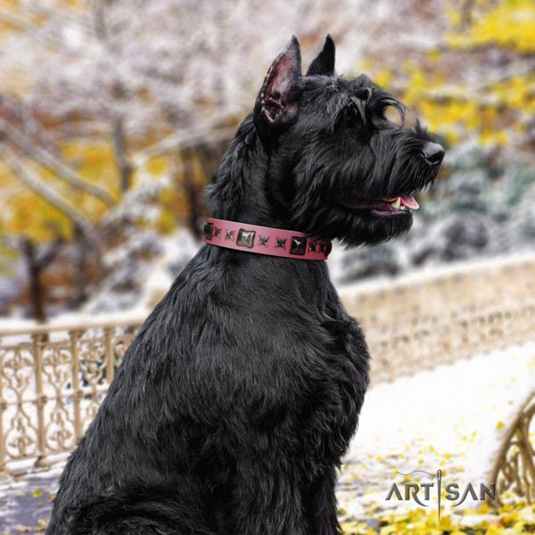 Riesenschnauzer stylish walking genuine leather collar for your lovely four-legged friend