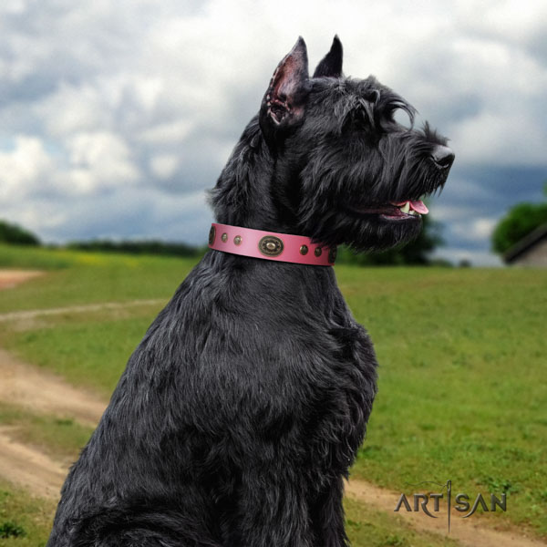 Riesenschnauzer easy wearing genuine leather collar with decorations for your dog