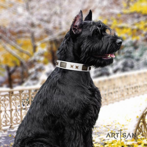 Riesenschnauzer handy use full grain natural leather collar with embellishments for your dog