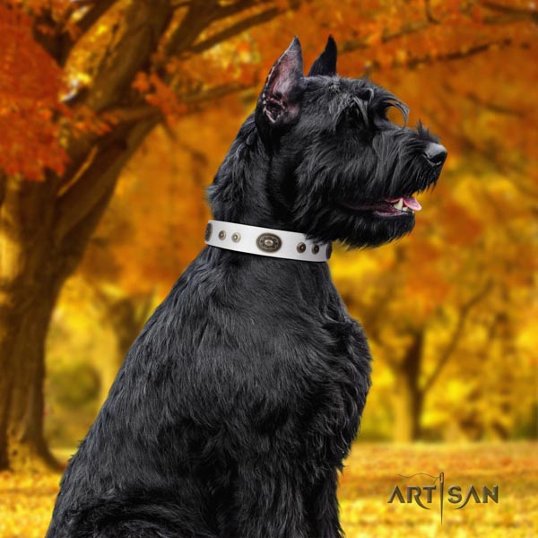 Riesenschnauzer basic training full grain natural leather collar for your handsome four-legged friend