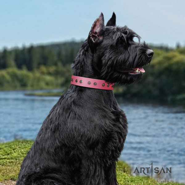 Riesenschnauzer handy use full grain leather collar with decorations for your doggie