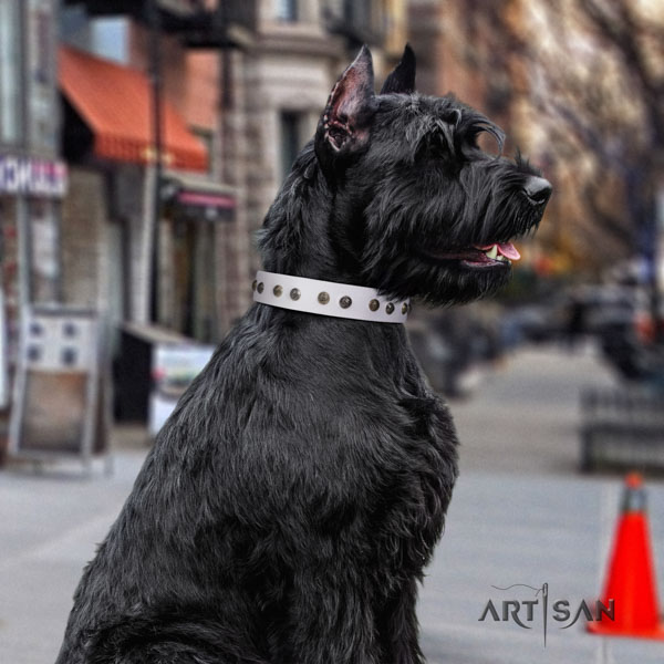 Riesenschnauzer easy wearing full grain leather collar with embellishments for your pet