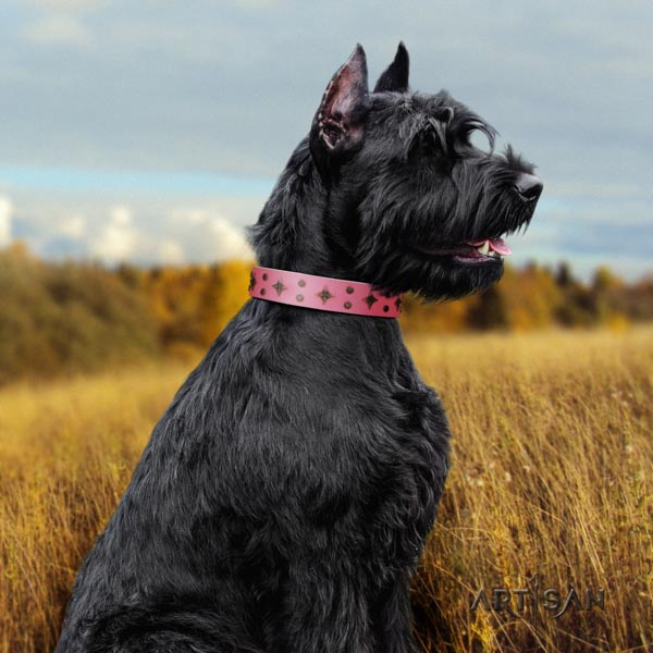 Riesenschnauzer basic training natural leather collar for your lovely dog