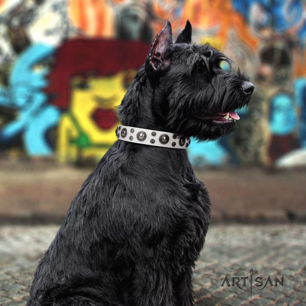 Riesenschnauzer daily walking full grain natural leather collar for your beautiful canine