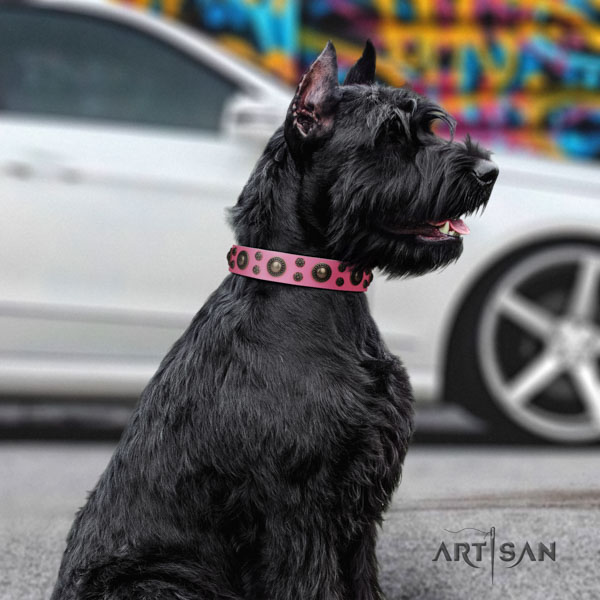 Riesenschnauzer daily use full grain leather collar for your attractive four-legged friend