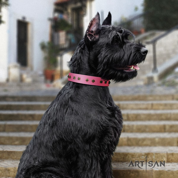 Riesenschnauzer stylish walking natural leather collar with adornments for your pet