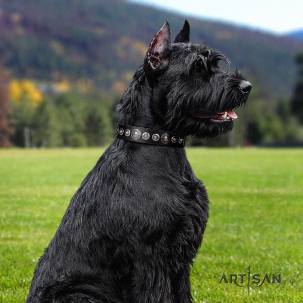 Riesenschnauzer everyday walking full grain genuine leather collar for your beautiful four-legged friend