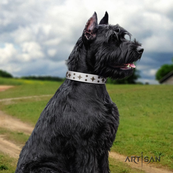 Riesenschnauzer stylish walking full grain leather collar for your impressive doggie