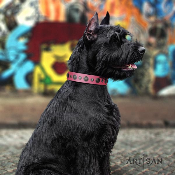 Riesenschnauzer handy use full grain natural leather collar with studs for your dog