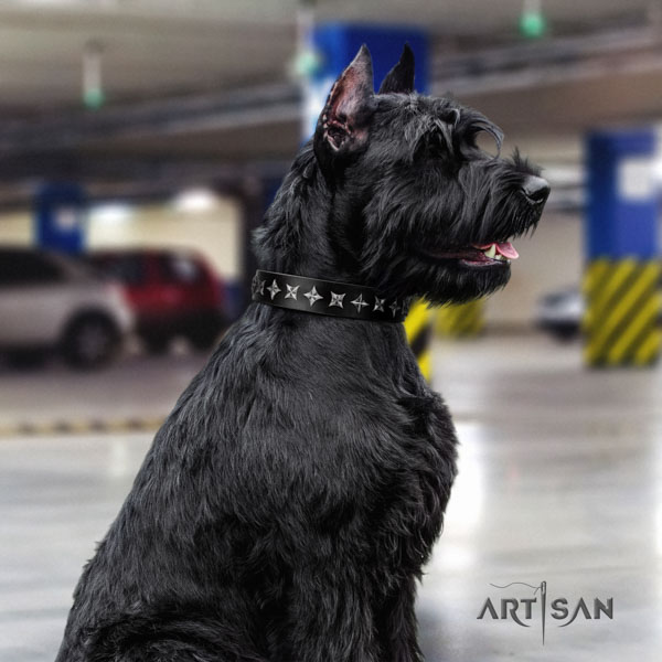 Riesenschnauzer fancy walking genuine leather collar with adornments for your dog
