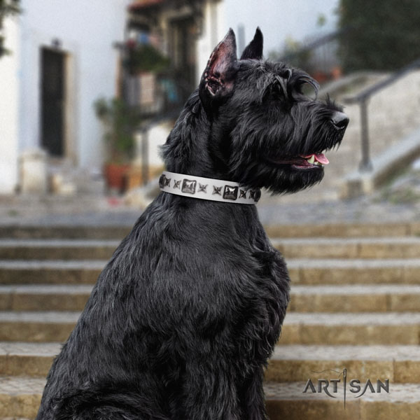 Riesenschnauzer stylish walking full grain leather collar for your beautiful pet