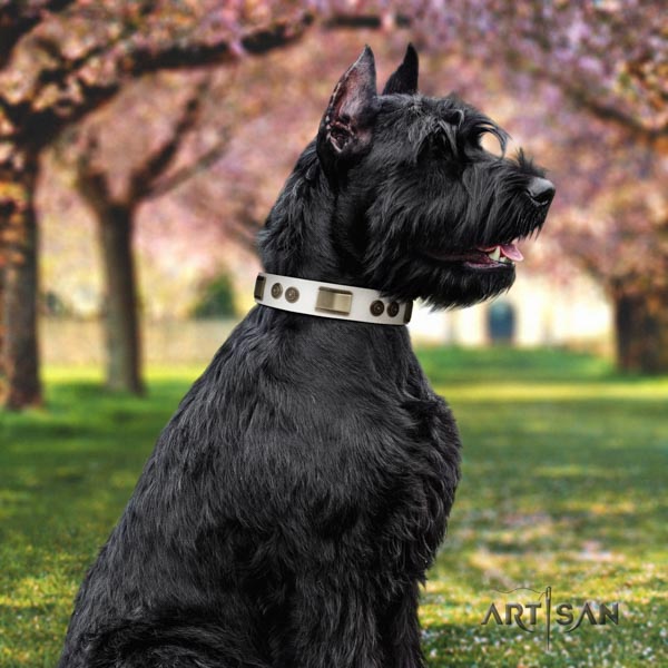 Riesenschnauzer easy wearing genuine leather collar with embellishments for your doggie