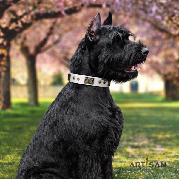 Riesenschnauzer walking genuine leather collar with decorations for your four-legged friend