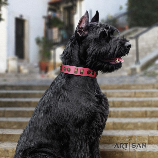 Riesenschnauzer stylish walking full grain leather collar with adornments for your doggie